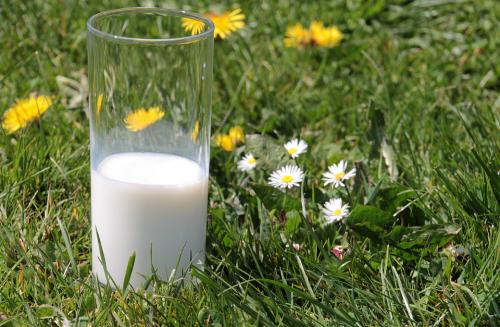 A tej nem is olyan egészséges - Most már 6 okod is van, hogy hanyagold a tehéntejet -, mint ahogyan azt korábban hittük.